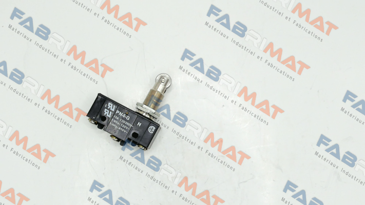 PN4G (9001892) Saia-Burgess