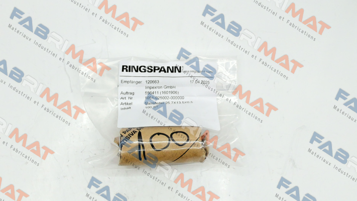 1051-025002 Ringspann