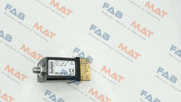 00125358 Burkert