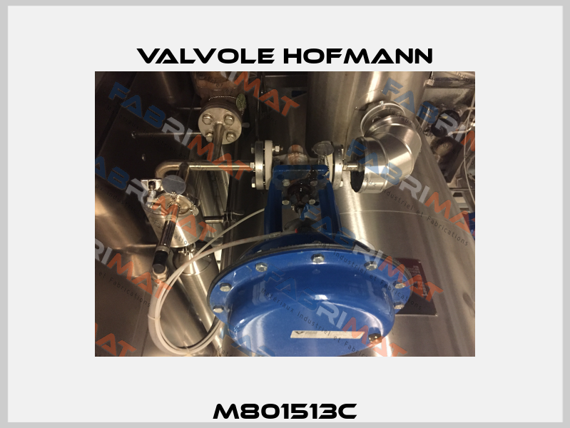 M801513C Valvole Hofmann