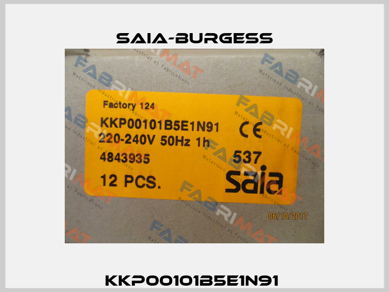 KKP00101B5E1N91  Saia-Burgess