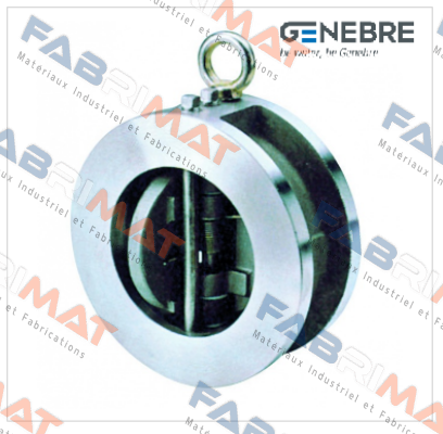 DN-50 (2402 09)  Genebre