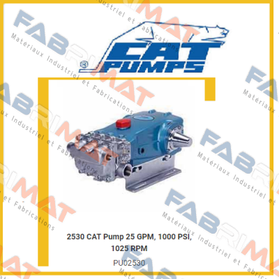 2530 Cat Pumps