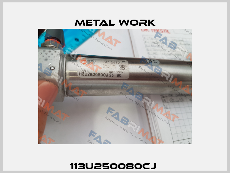 113U250080CJ  Metal Work