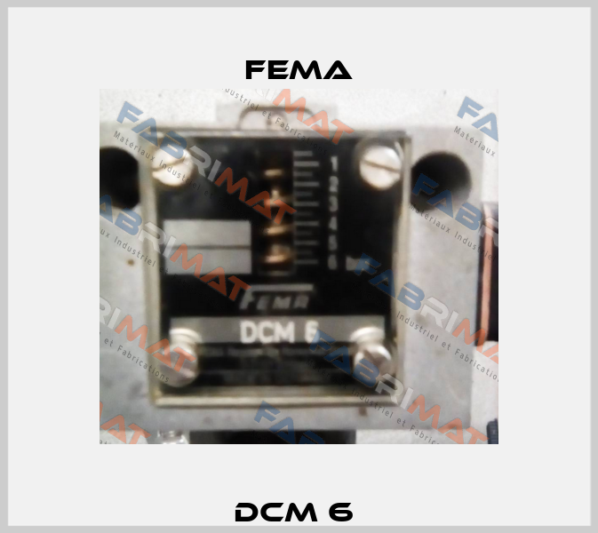 DCM 6  FEMA
