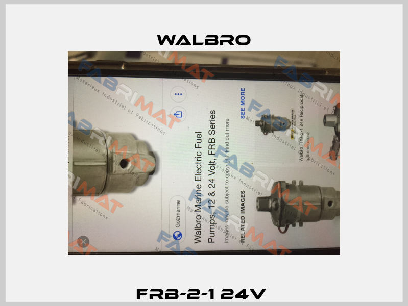 FRB-2-1 24V  Walbro