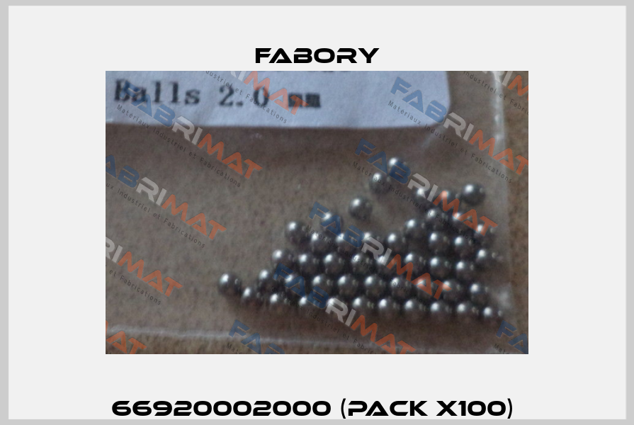 66920002000 (pack x100)  Fabory
