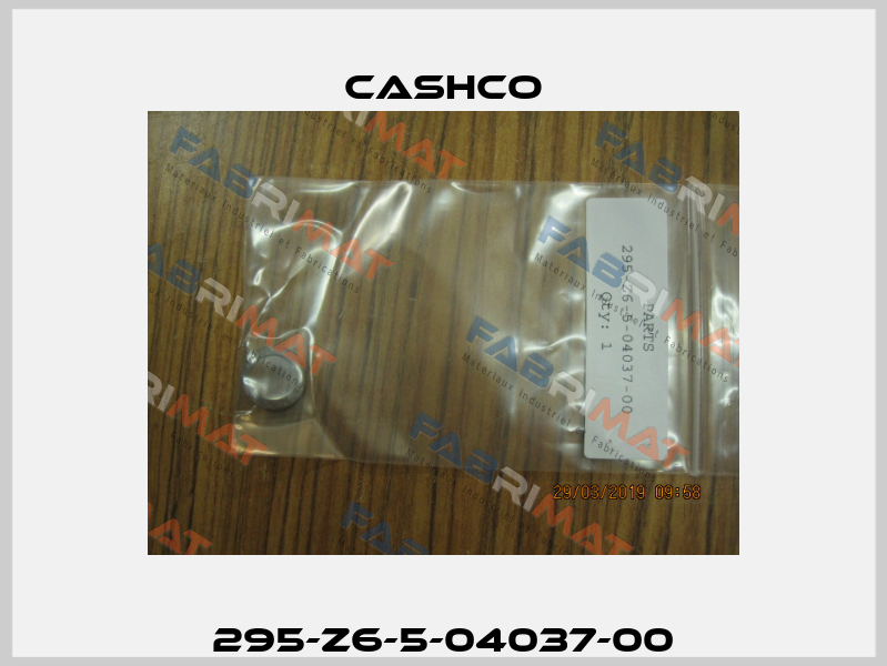 295-Z6-5-04037-00 Cashco
