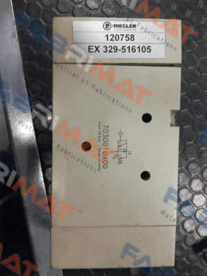 120758 EX 329-516105 Riegler