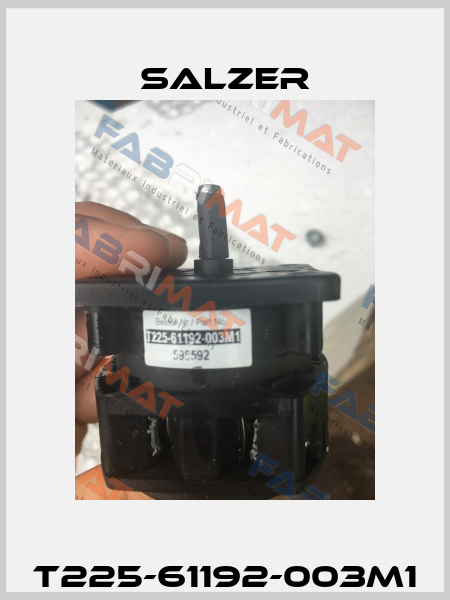 T225-61192-003M1 Salzer
