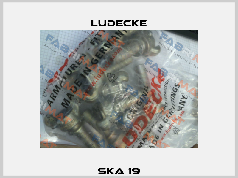 SKA 19 Ludecke