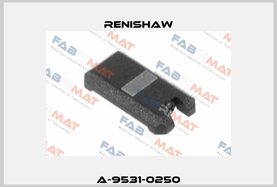 A-9531-0250 Renishaw