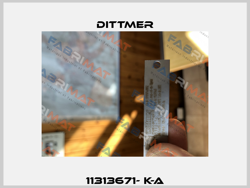11313671- k-a Dittmer