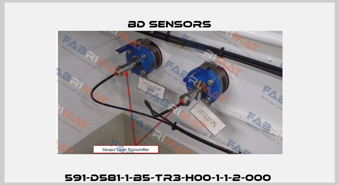 591-D581-1-B5-TR3-H00-1-1-2-000  Bd Sensors