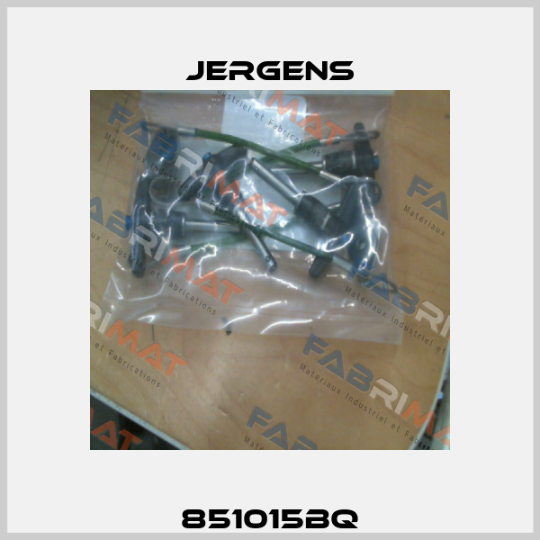 851015BQ Jergens