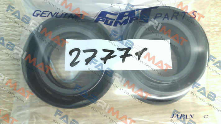 27771 Cat Pumps
