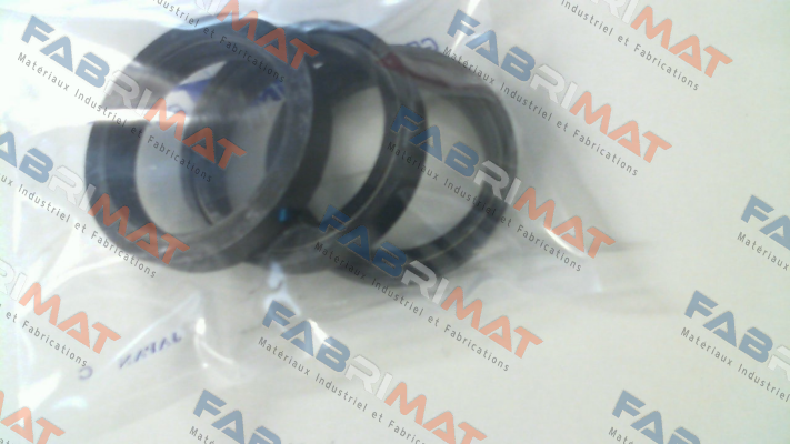 44757 Cat Pumps