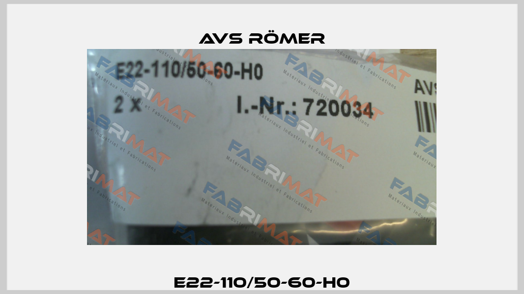 E22-110/50-60-H0 Avs Römer
