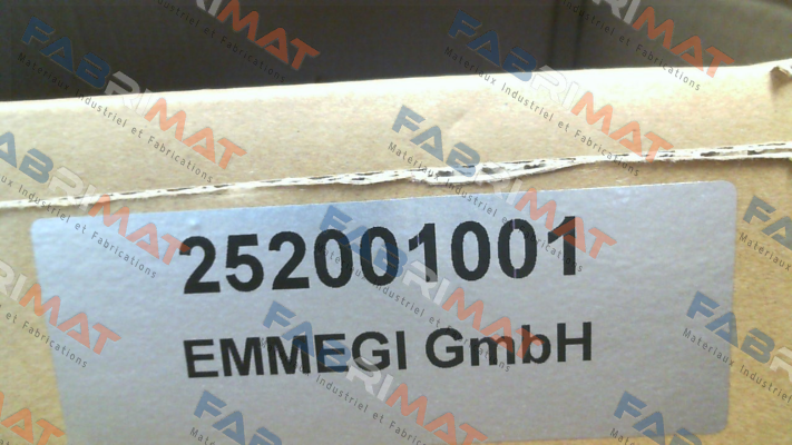 2020K (252001001 ) Emmegi