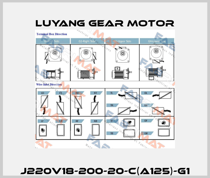 J220V18-200-20-C(A125)-G1 Luyang Gear Motor