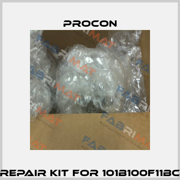 Repair kit for 101B100F11BC Procon