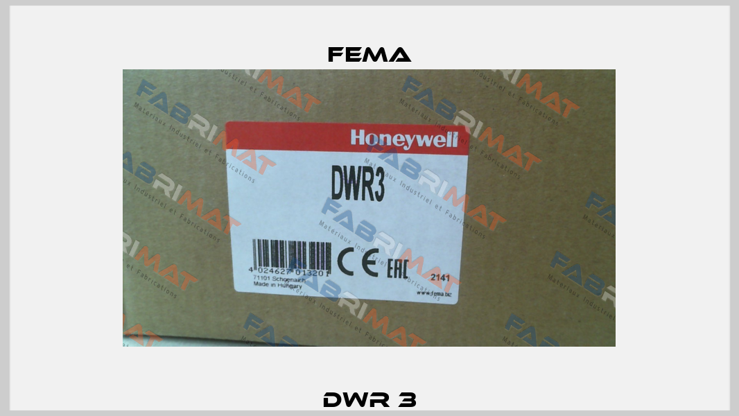 DWR 3 FEMA