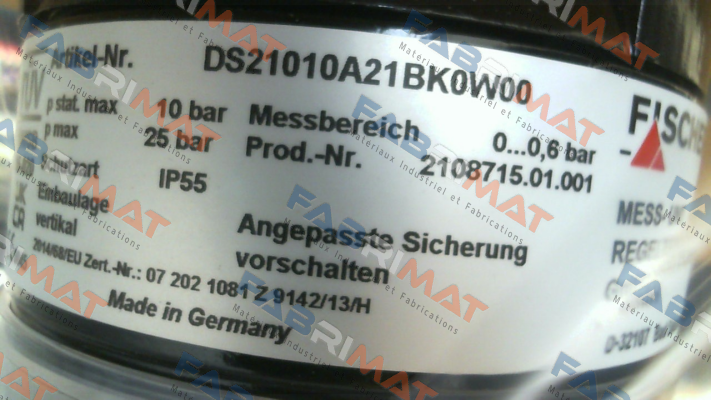 DS21010A21BK0W00 Fischer