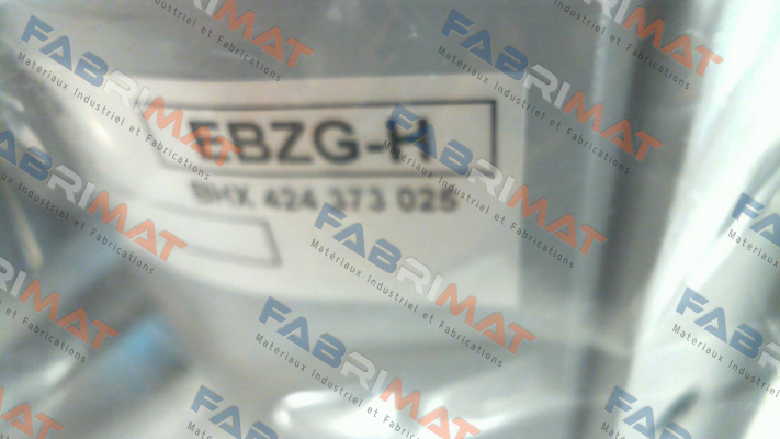 EBZG-H Foxboro