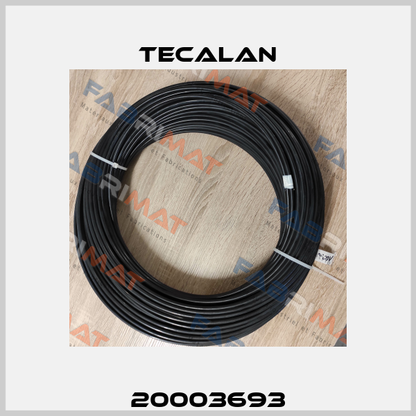 20003693 Tecalan
