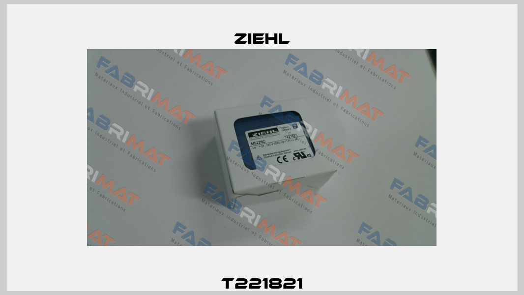 T221821 Ziehl