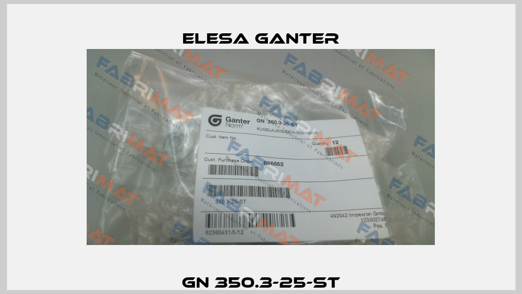GN 350.3-25-ST Elesa Ganter