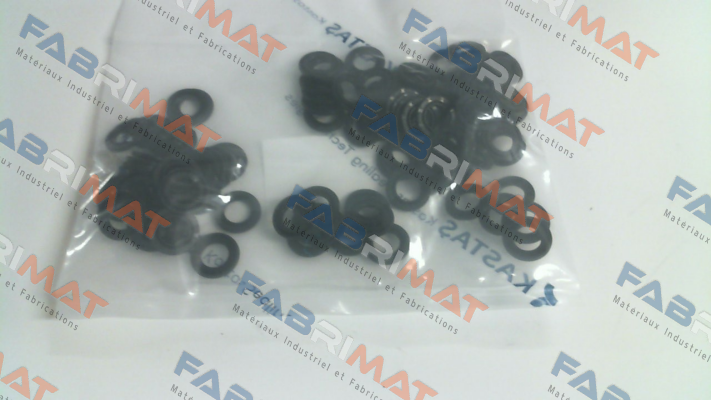 10021914  / K54 20X13X2,5 Kastas Sealing