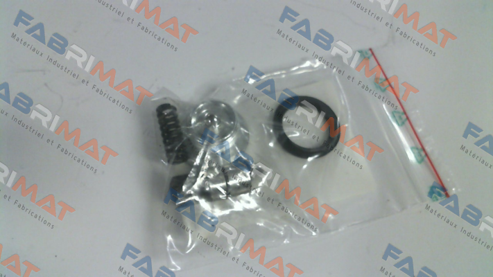 GE0001484 Hanse Lifter