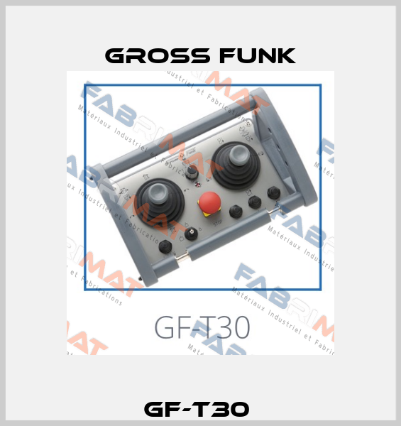 GF-T30  Gross Funk