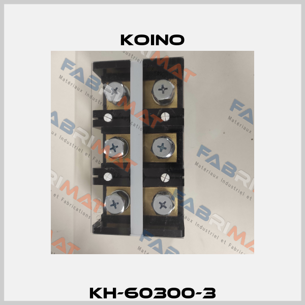 KH-60300-3 Koino