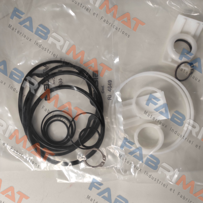Repair kit suitable for SR100 (RI4607 + RI4649) Valbia