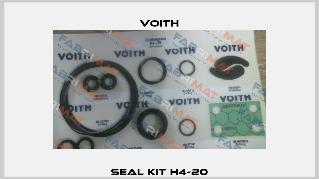 seal kit H4-20 Voith