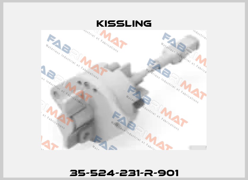 35-524-231-R-901 Kissling