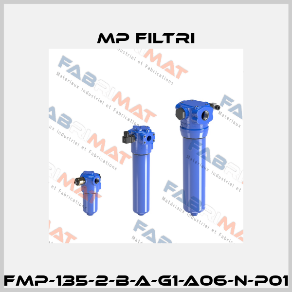 FMP-135-2-B-A-G1-A06-N-P01 MP Filtri