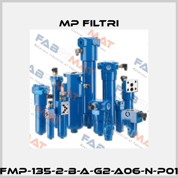 FMP-135-2-B-A-G2-A06-N-P01 MP Filtri