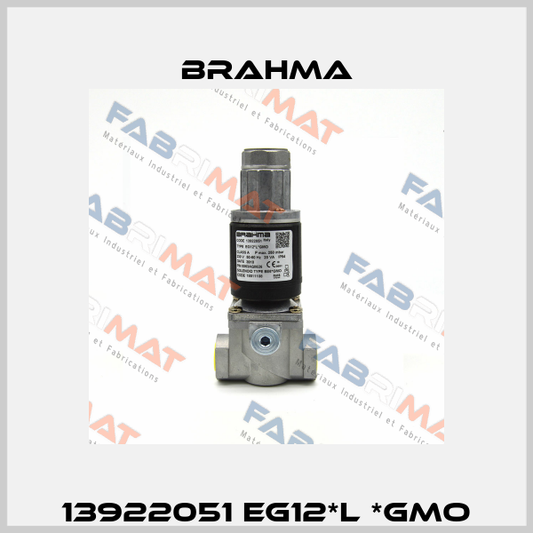 13922051 EG12*L *GMO Brahma