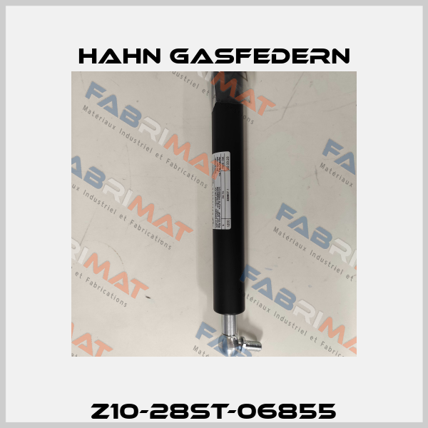 Z10-28ST-06855 Hahn Gasfedern