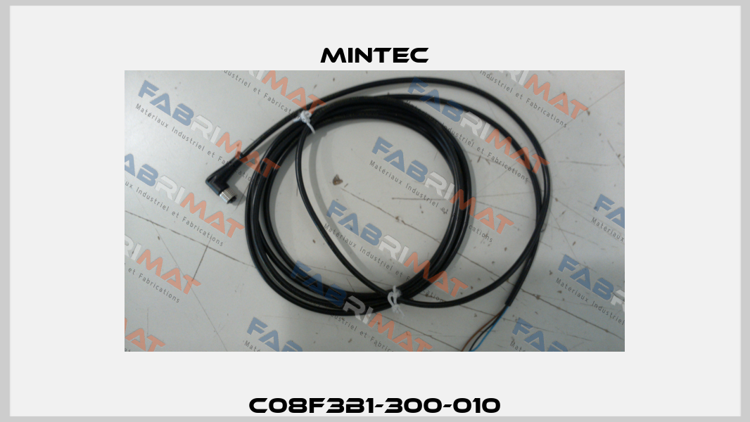 C08F3B1-300-010 MINTEC