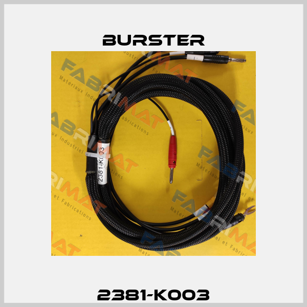 2381-K003 Burster