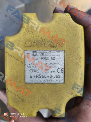BFRS50R3-553 Ravioli