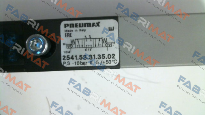 2541.53.31.35.02 Pneumax