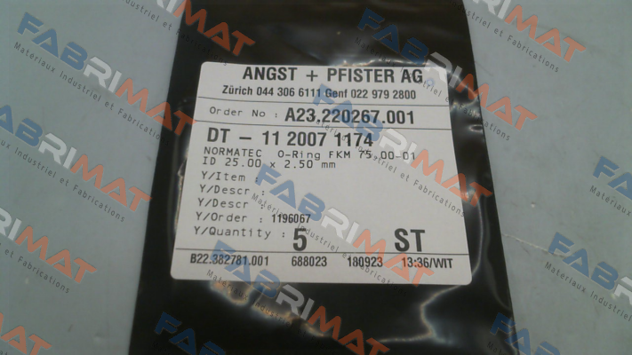 1120071174 Angst-Pfister