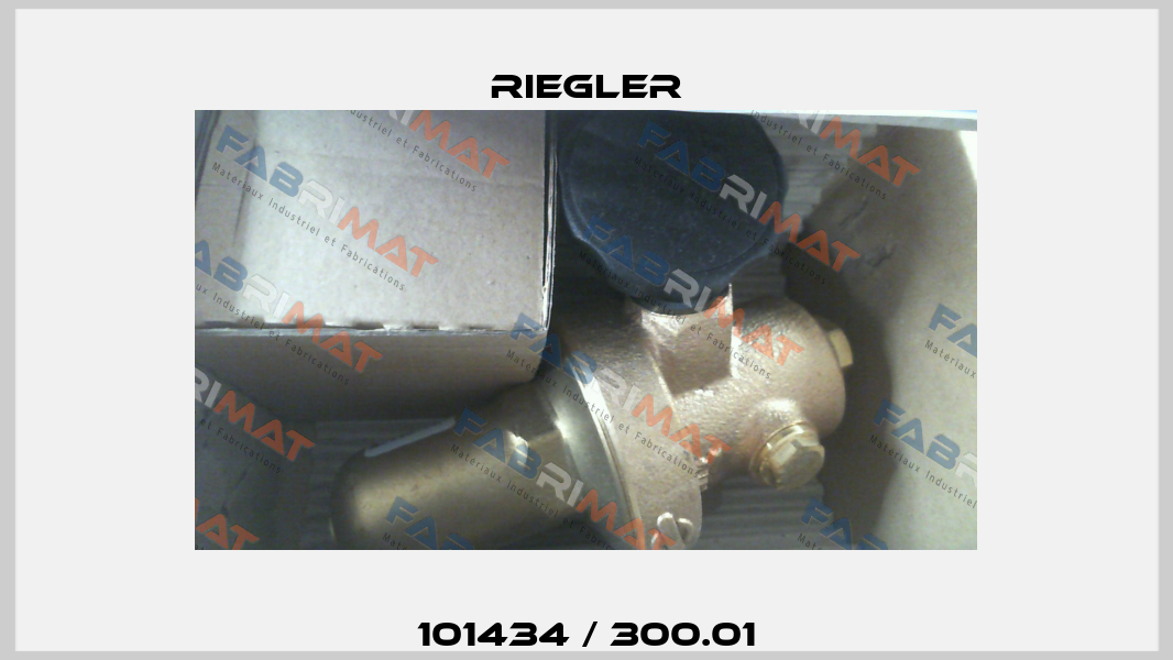 101434 / 300.01 Riegler