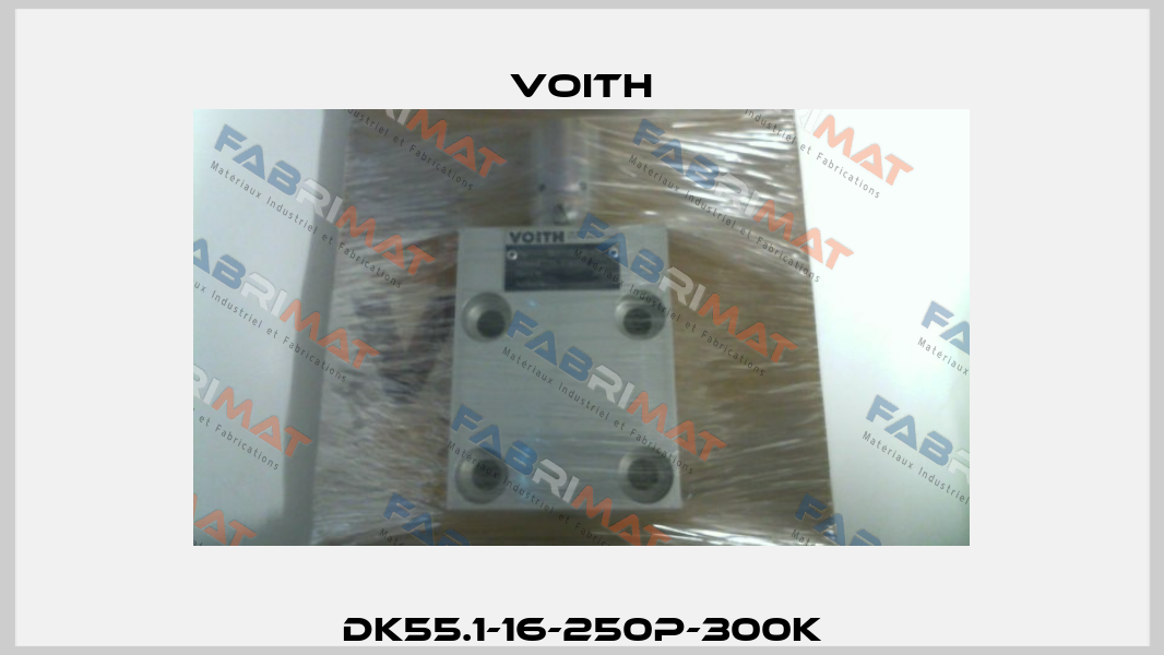 DK55.1-16-250P-300K Voith