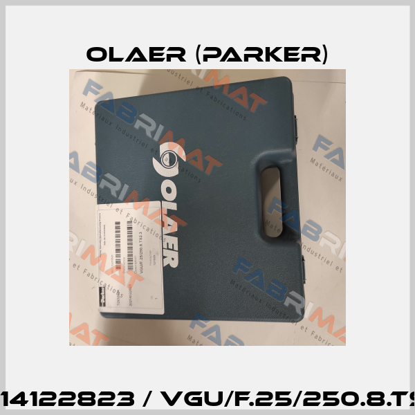 20214122823 / VGU/F.25/250.8.TS2.3 Olaer (Parker)